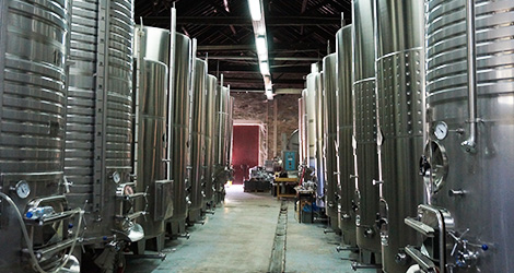 laboratorio-adjectivos-rio-douro-vinho-piorro-encosta-bocho-1912-winemakers-adega-bebespontocomes